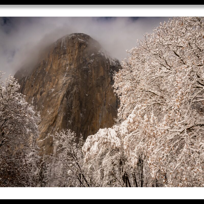 frame_El-Capitan-Oaks-in-Snow-Yosemite-NP-2-1