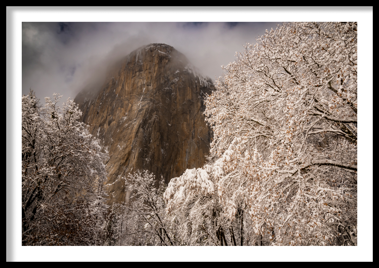 frame_El-Capitan-Oaks-in-Snow-Yosemite-NP-2-1